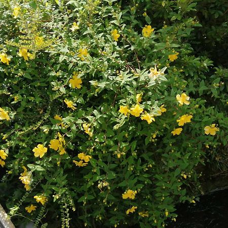 O Jardin De Boutancourtヴィラ エクステリア 写真