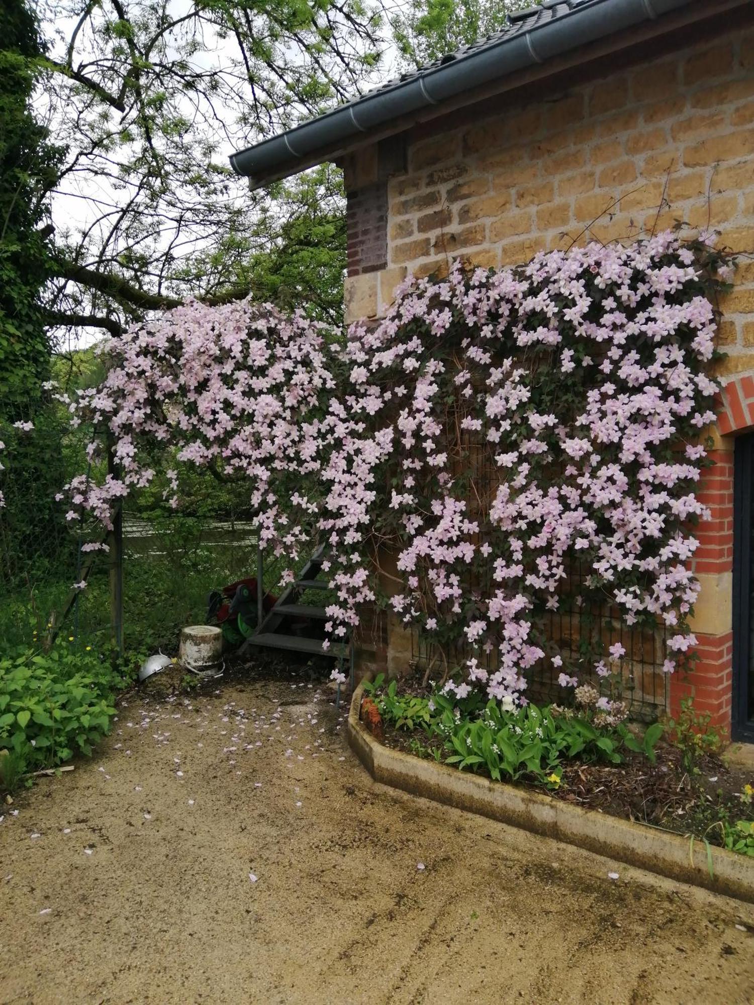 O Jardin De Boutancourtヴィラ エクステリア 写真