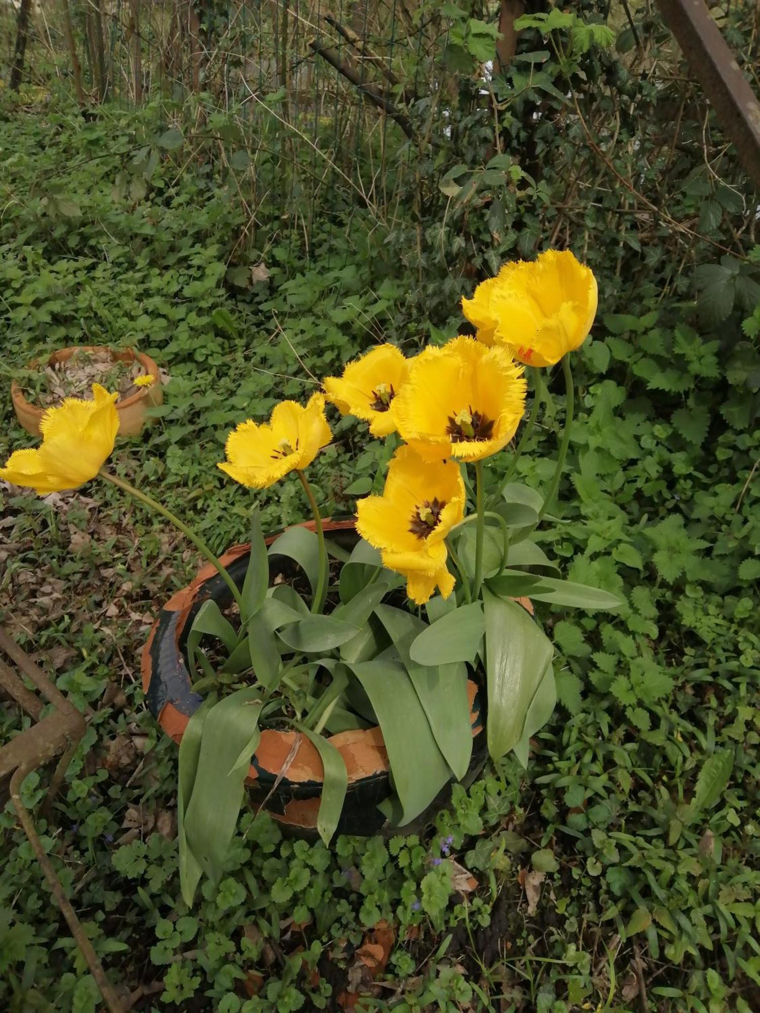 O Jardin De Boutancourtヴィラ エクステリア 写真