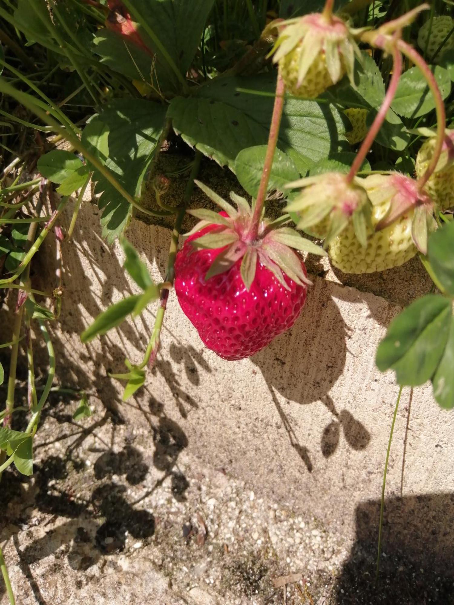 O Jardin De Boutancourtヴィラ エクステリア 写真