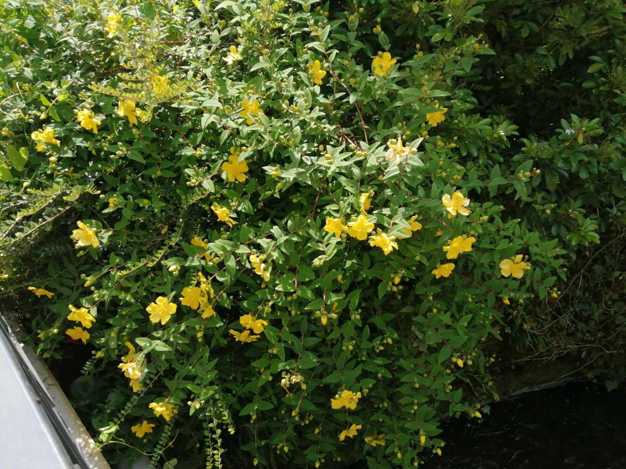 O Jardin De Boutancourtヴィラ エクステリア 写真