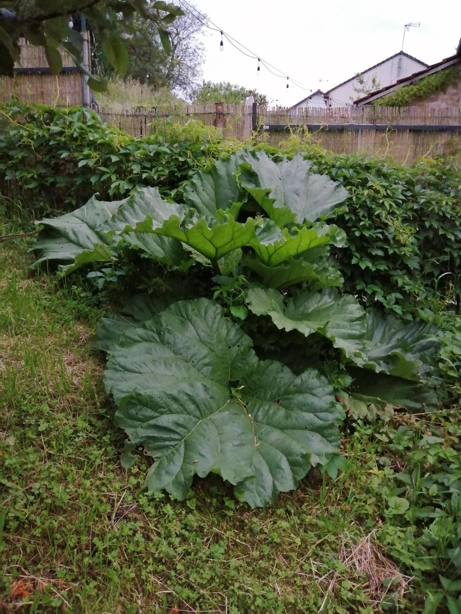 O Jardin De Boutancourtヴィラ エクステリア 写真